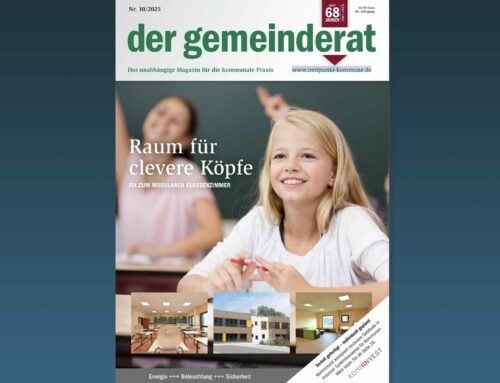 Warum Holzwege bei der Wärmewende zum Ziel führen